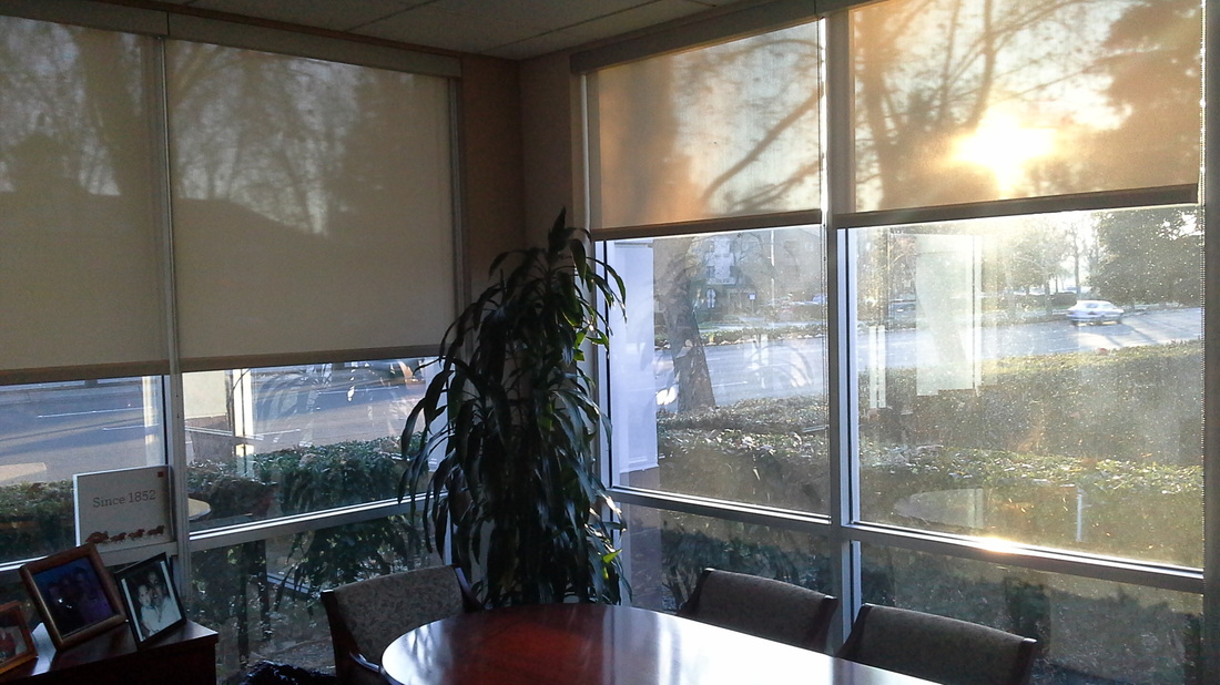 Commercial Building Window Shades